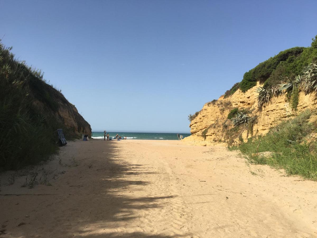 Villa Anyway Conil Un Lujo Frente Al Mar Кониль-де-ла-Фронтера Экстерьер фото