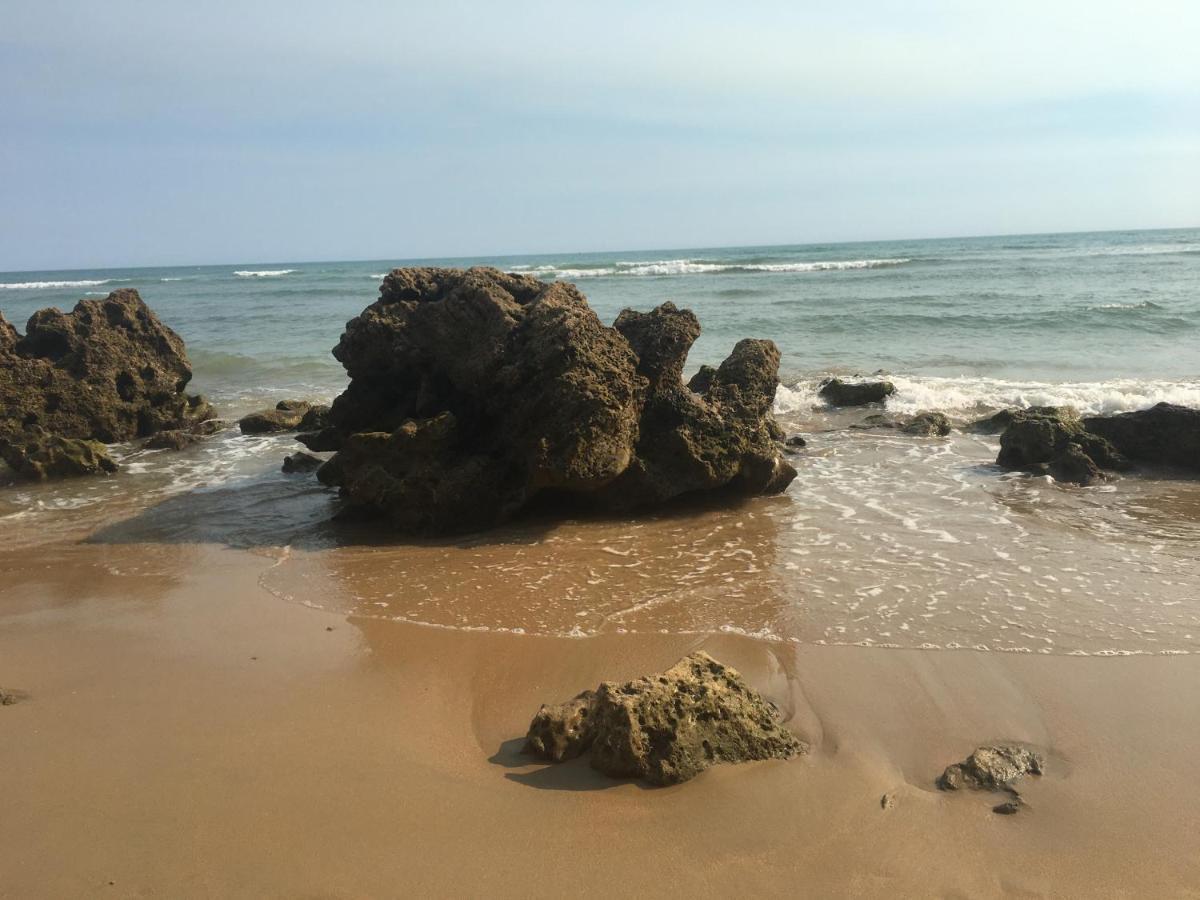 Villa Anyway Conil Un Lujo Frente Al Mar Кониль-де-ла-Фронтера Экстерьер фото