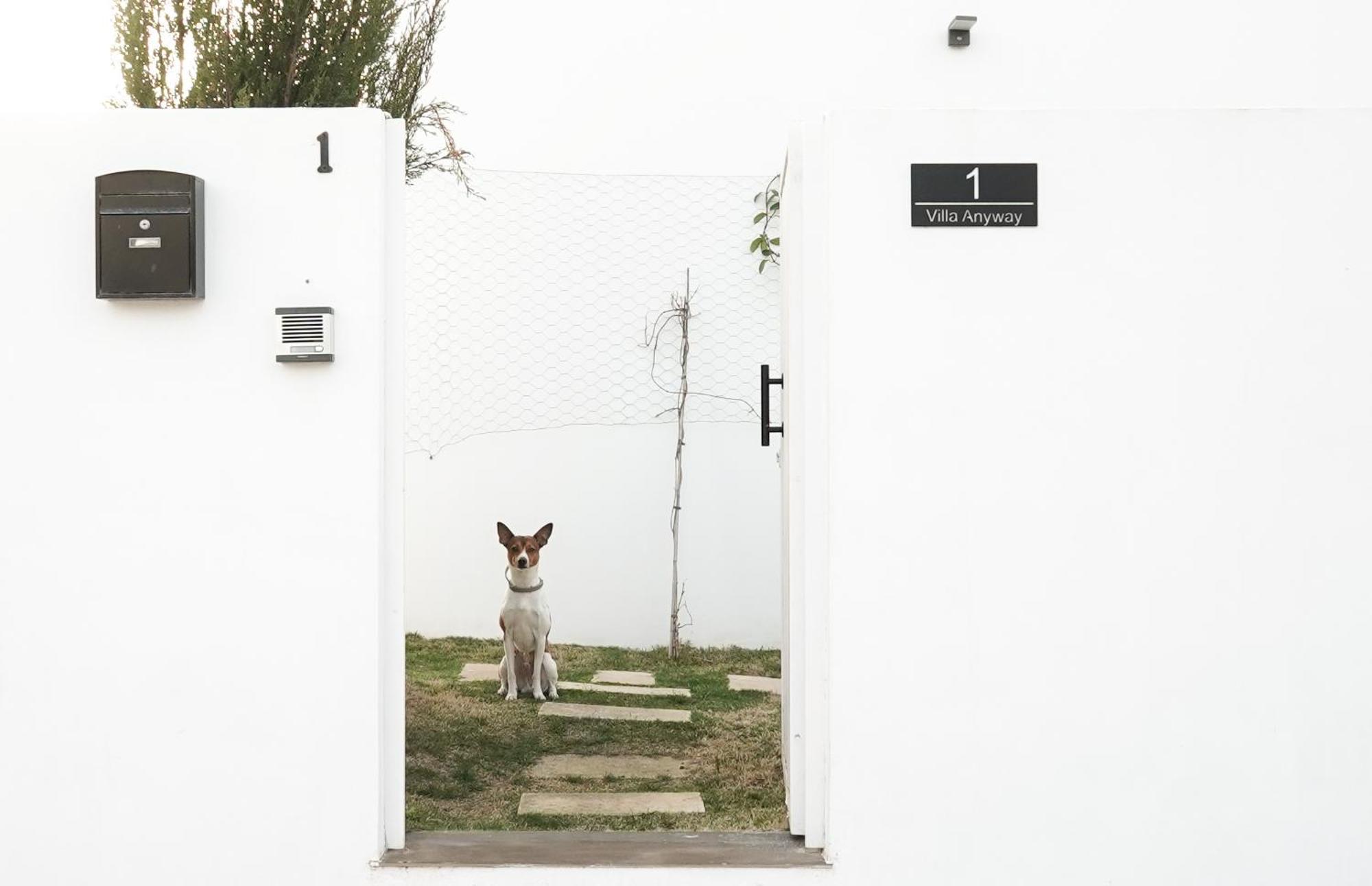 Villa Anyway Conil Un Lujo Frente Al Mar Кониль-де-ла-Фронтера Экстерьер фото